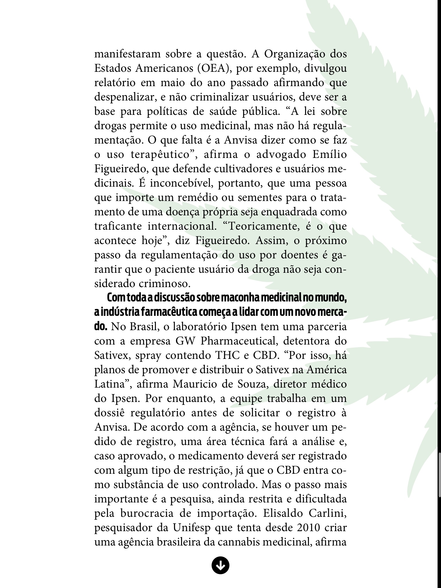 Maconha Medicinal No Brasil Fonte Revista Isto Semana Do Dia De