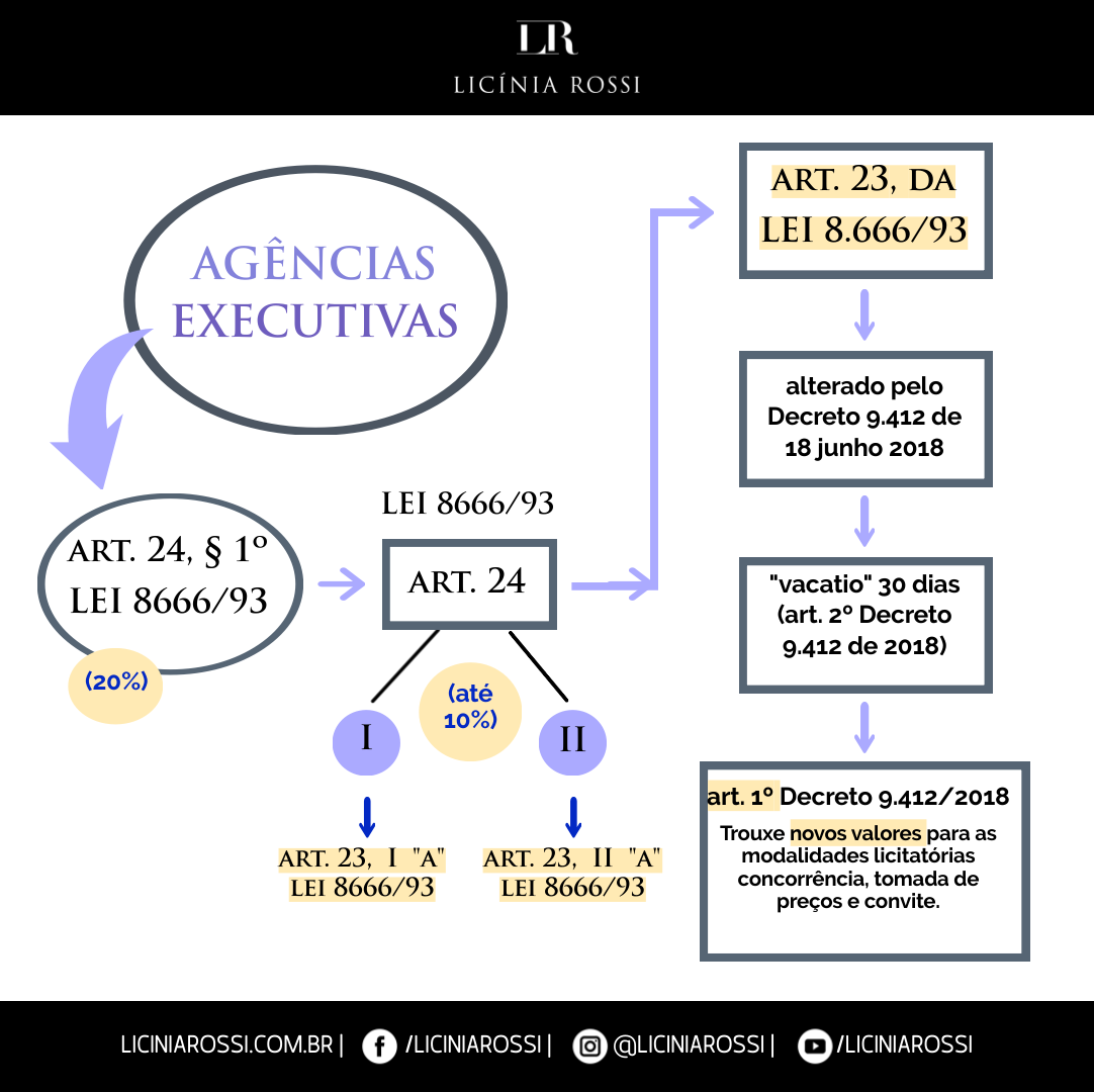 Licitação – Lei 8.666/93 – Disciplinas – Licínia Rossi