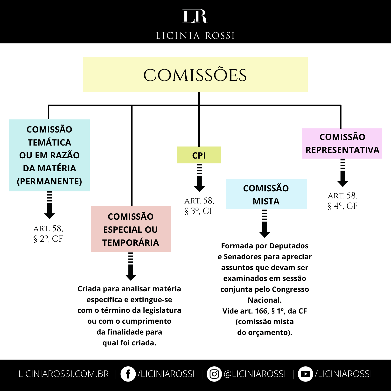 Poder Legislativo – Disciplinas – Licínia Rossi