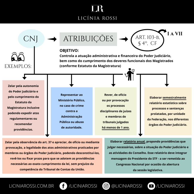 Atribui Es Do Cnj Conselho Nacional De Justi A Lic Nia Rossi