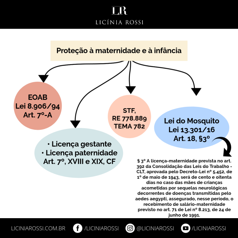 Proteção à Maternidade e à Infância Licínia Rossi