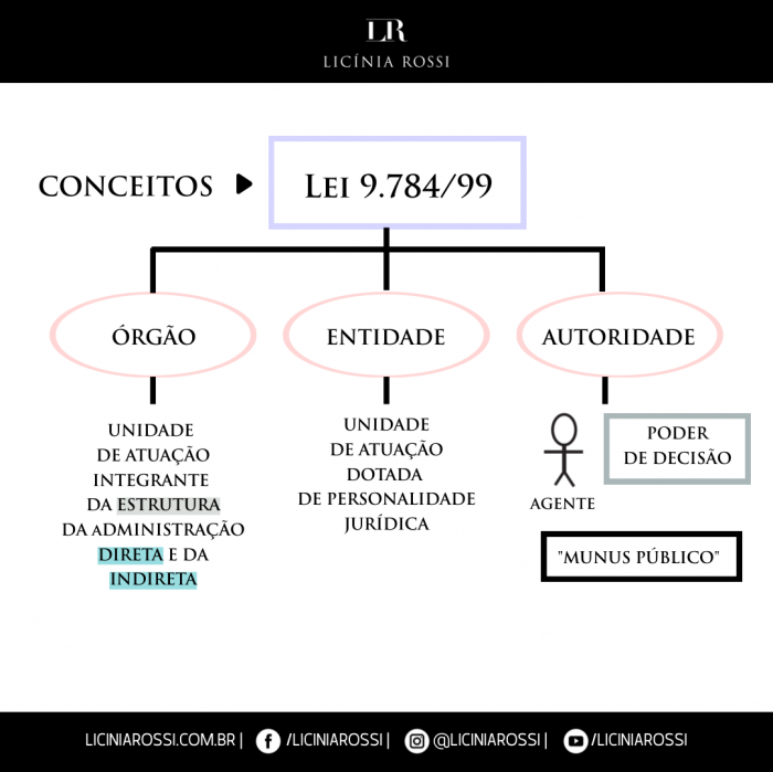 * Conceitos: Órgão X Entidade X Autoridade – Licínia Rossi