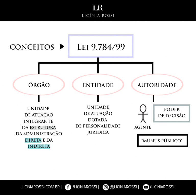 Conceitos Órgão X Entidade X Autoridade Licínia Rossi 7894