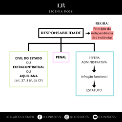 * Tipos De Responsabilidade (Esferas) – Licínia Rossi