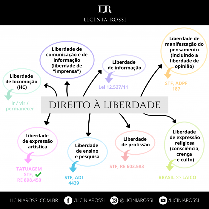 Direito à Liberdade Direitos Individuais Licínia Rossi 1506