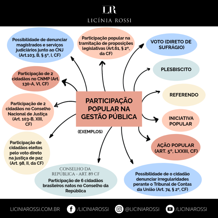 Participação Popular Na Gestão Pública Licínia Rossi 6947