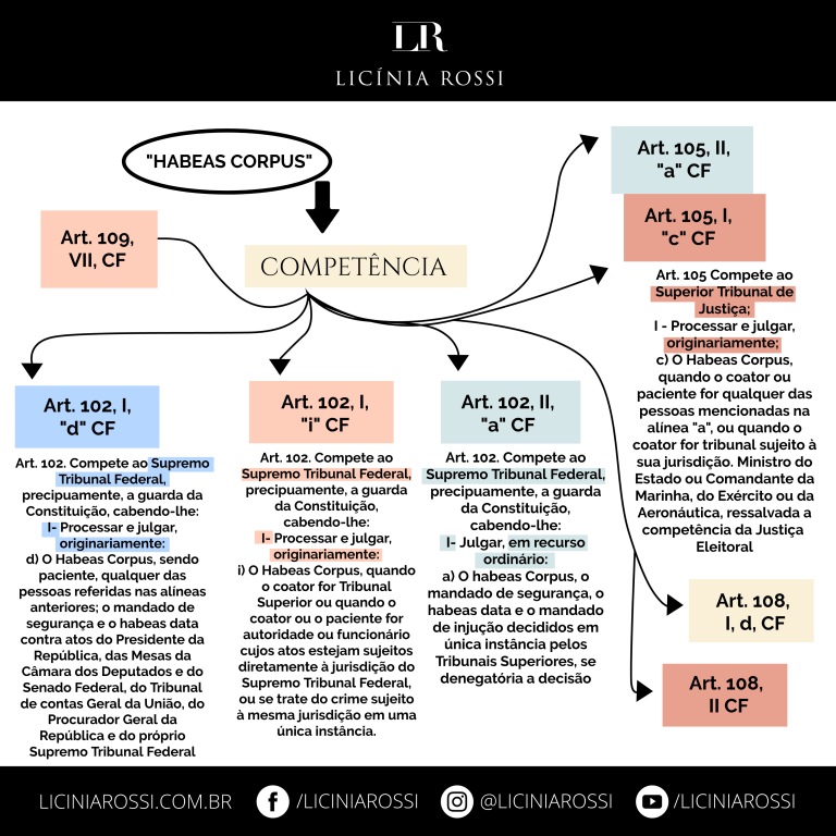 Remédios Constitucionais – Disciplinas – Licínia Rossi