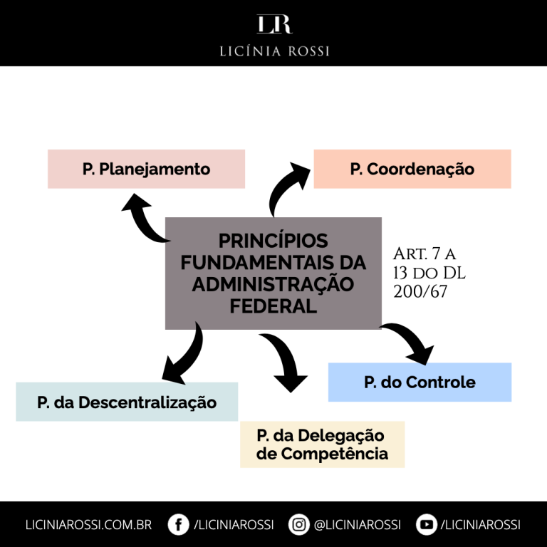 Princípios Fundamentais Da Administração Federal – Licínia Rossi